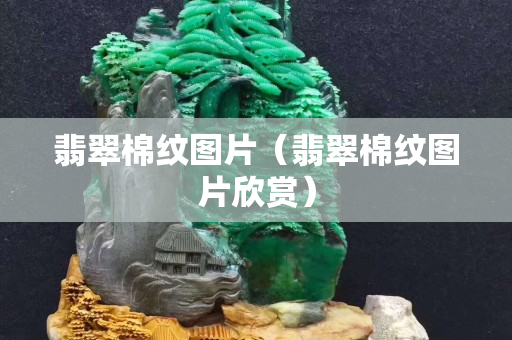 翡翠棉紋圖片（翡翠棉紋圖片欣賞）