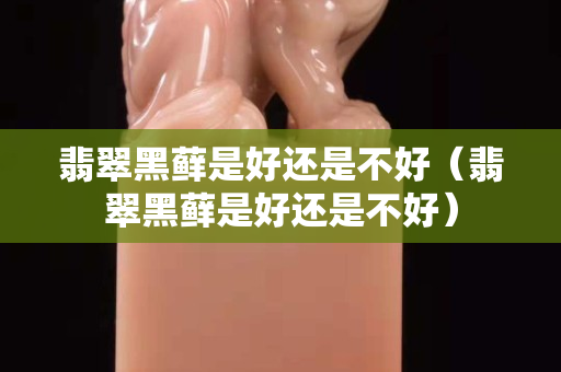 翡翠黑蘚是好還是不好（翡翠黑蘚是好還是不好）
