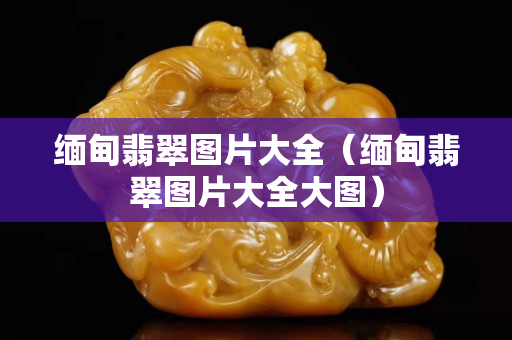 緬甸翡翠圖片大全（緬甸翡翠圖片大全大圖）