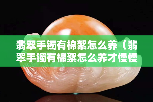 翡翠手鐲有棉絮怎么養(yǎng)（翡翠手鐲有棉絮怎么養(yǎng)才慢慢散）