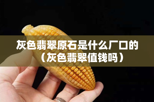 灰色翡翠原石是什么廠口的（灰色翡翠值錢嗎）