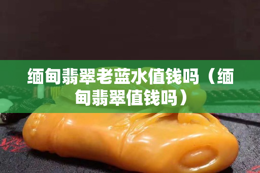緬甸翡翠老藍水值錢嗎（緬甸翡翠值錢嗎）