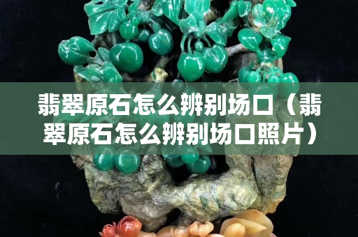 翡翠原石怎么辨別場口（翡翠原石怎么辨別場口照片）