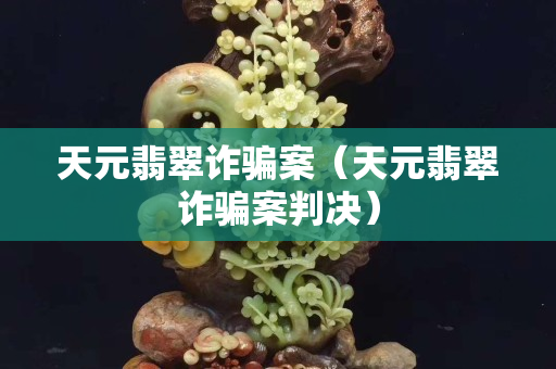 天元翡翠詐騙案（天元翡翠詐騙案判決）