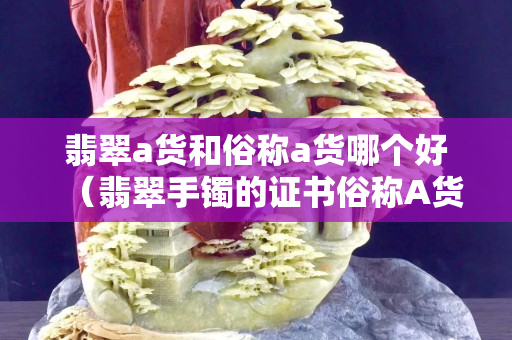 翡翠a貨和俗稱a貨哪個好（翡翠手鐲的證書俗稱A貨是A貨嗎）