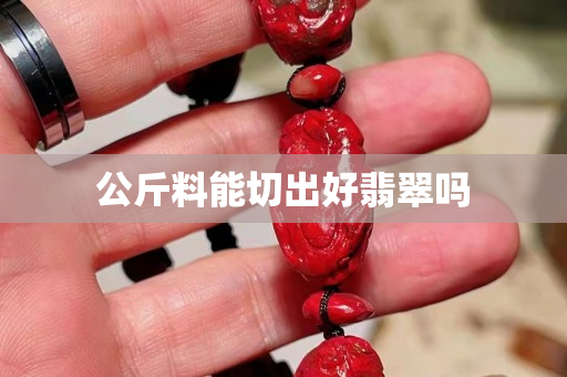 公斤料能切出好翡翠嗎
