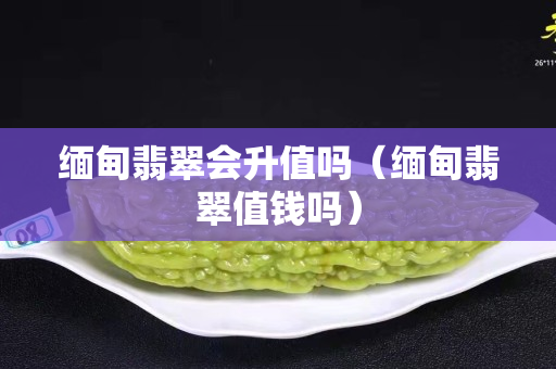 緬甸翡翠會升值嗎（緬甸翡翠值錢嗎）