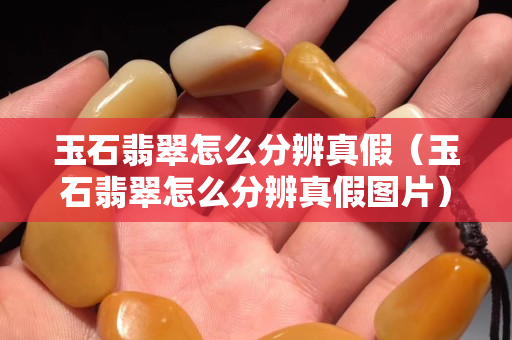 玉石翡翠怎么分辨真假（玉石翡翠怎么分辨真假圖片）