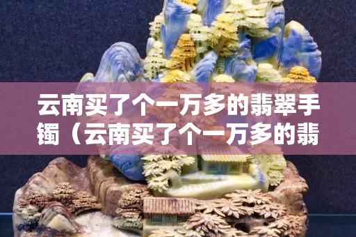云南買了個一萬多的翡翠手鐲（云南買了個一萬多的翡翠手鐲實際多少錢）