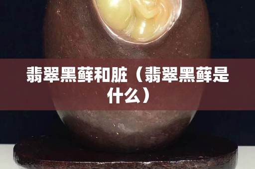 翡翠黑蘚和臟（翡翠黑蘚是什么）
