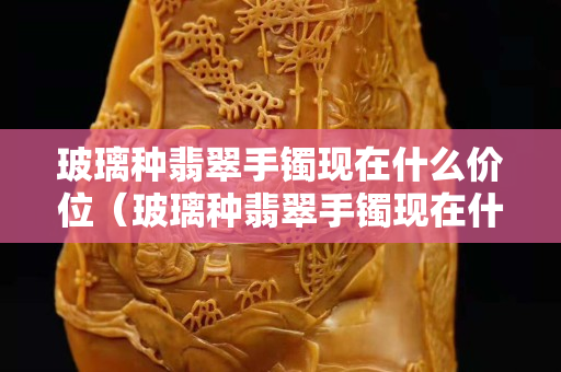 玻璃種翡翠手鐲現在什么價位（玻璃種翡翠手鐲現在什么價位合適）