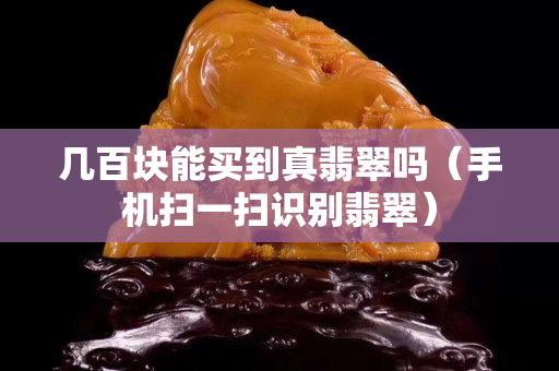 幾百塊能買到真翡翠嗎（手機掃一掃識別翡翠）