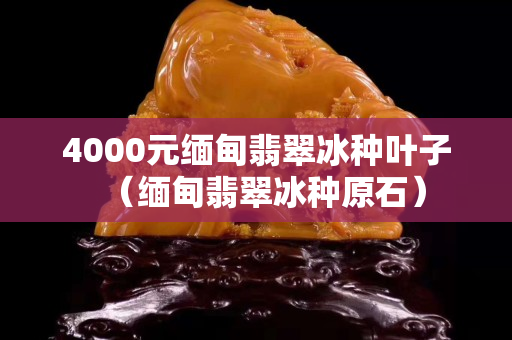 4000元緬甸翡翠冰種葉子（緬甸翡翠冰種原石）