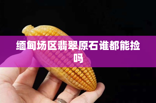 緬甸場區翡翠原石誰都能撿嗎