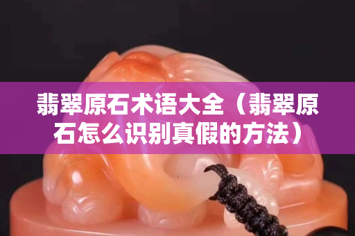 翡翠原石術語大全（翡翠原石怎么識別真假的方法）