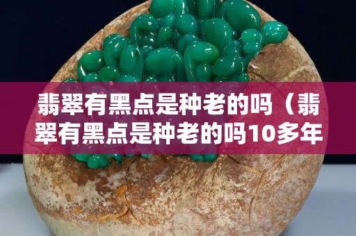 翡翠有黑點是種老的嗎（翡翠有黑點是種老的嗎10多年）