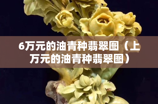 6萬元的油青種翡翠圖（上萬元的油青種翡翠圖）