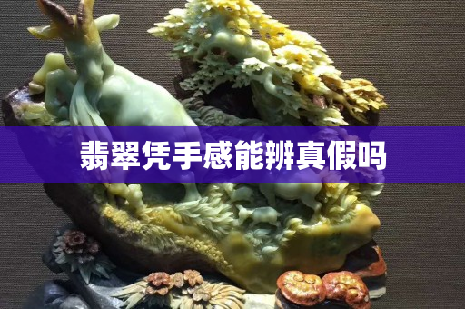 翡翠憑手感能辨真假嗎