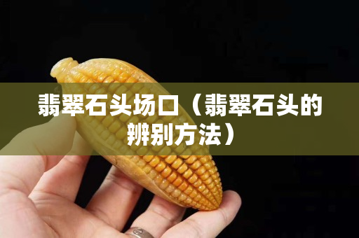 翡翠石頭場口（翡翠石頭的辨別方法）