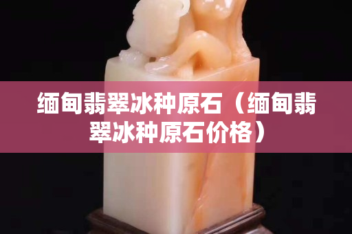 緬甸翡翠冰種原石（緬甸翡翠冰種原石價格）