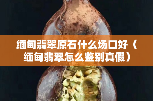 緬甸翡翠原石什么場口好（緬甸翡翠怎么鑒別真假）