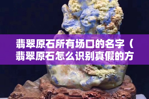 翡翠原石所有場口的名字（翡翠原石怎么識別真假的方法）