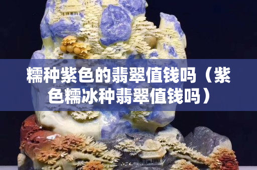 糯種紫色的翡翠值錢嗎（紫色糯冰種翡翠值錢嗎）