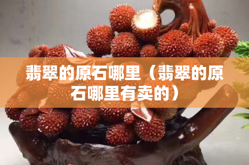 翡翠的原石哪里（翡翠的原石哪里有賣的）