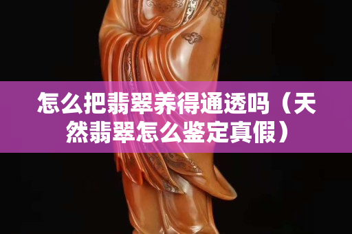 怎么把翡翠養得通透嗎（天然翡翠怎么鑒定真假）