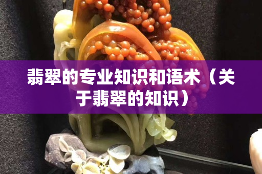 翡翠的專業(yè)知識和語術（關于翡翠的知識）