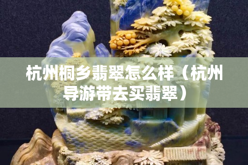 杭州桐鄉(xiāng)翡翠怎么樣（杭州導(dǎo)游帶去買翡翠）