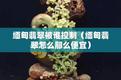 緬甸翡翠被誰控制（緬甸翡翠怎么那么便宜）
