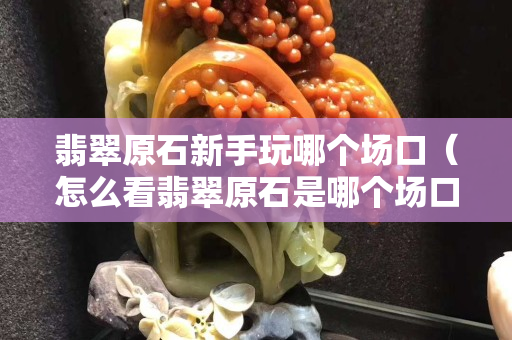 翡翠原石新手玩哪個場口（怎么看翡翠原石是哪個場口）