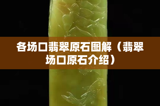 各場口翡翠原石圖解（翡翠場口原石介紹）