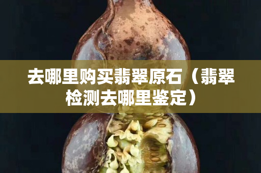 去哪里購買翡翠原石（翡翠檢測去哪里鑒定）
