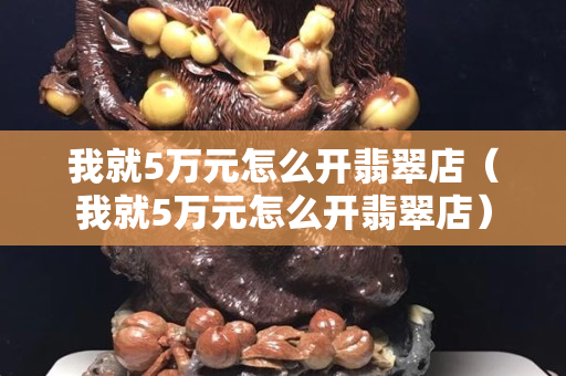 我就5萬元怎么開翡翠店（我就5萬元怎么開翡翠店）