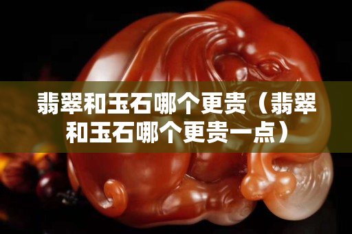 翡翠和玉石哪個更貴（翡翠和玉石哪個更貴一點）