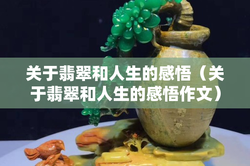 關于翡翠和人生的感悟（關于翡翠和人生的感悟作文）