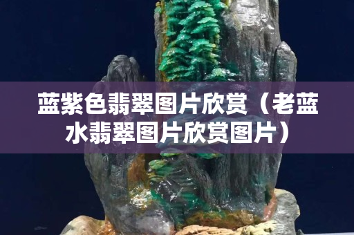 藍紫色翡翠圖片欣賞（老藍水翡翠圖片欣賞圖片）