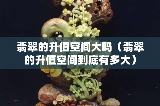 翡翠的升值空間大嗎（翡翠的升值空間到底有多大）