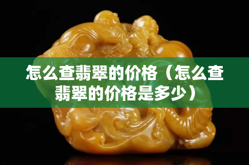 怎么查翡翠的價格（怎么查翡翠的價格是多少）
