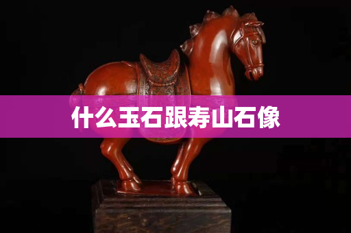 什么玉石跟壽山石像