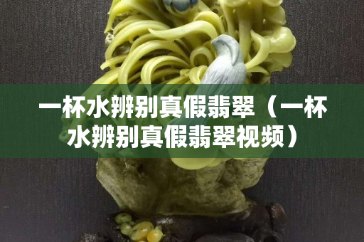 一杯水辨別真假翡翠（一杯水辨別真假翡翠視頻）
