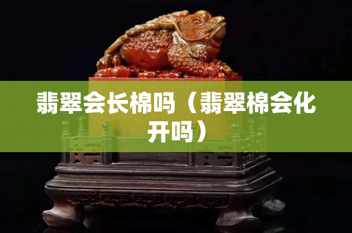 翡翠會長棉嗎（翡翠棉會化開嗎）