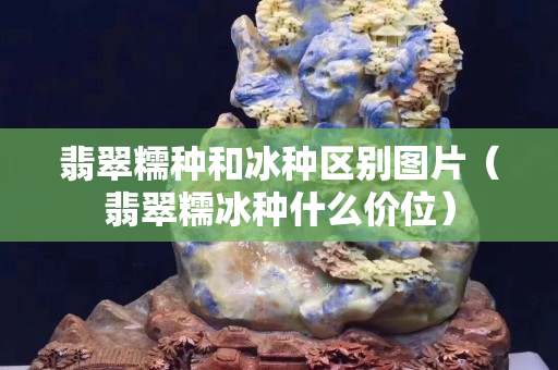 翡翠糯種和冰種區別圖片（翡翠糯冰種什么價位）