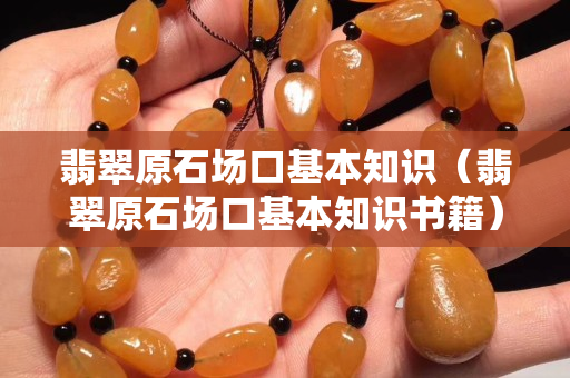 翡翠原石場口基本知識（翡翠原石場口基本知識書籍）