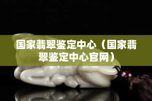 國家翡翠鑒定中心（國家翡翠鑒定中心官網）