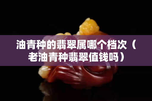油青種的翡翠屬哪個檔次（老油青種翡翠值錢嗎）