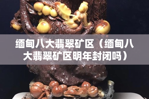 緬甸八大翡翠礦區（緬甸八大翡翠礦區明年封閉嗎）