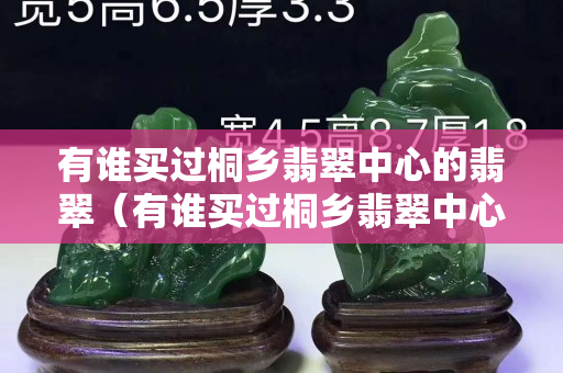 有誰買過桐鄉翡翠中心的翡翠（有誰買過桐鄉翡翠中心的翡翠怎么樣）